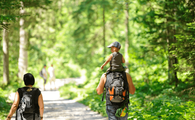 A family with a toddler walking in the forest - one of the fun family staycation ideas for families with kids