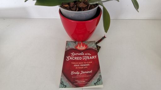 a photo of the Secrets of the Sacred Heart book by Emily Jaminet