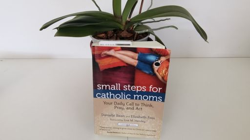 photo of Small Steps for Catholic Moms book